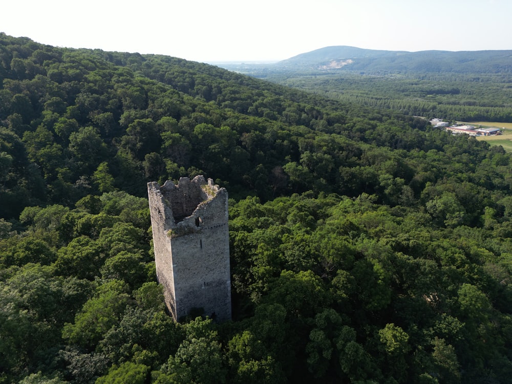 an aerial view of a castle in the middle of a forest