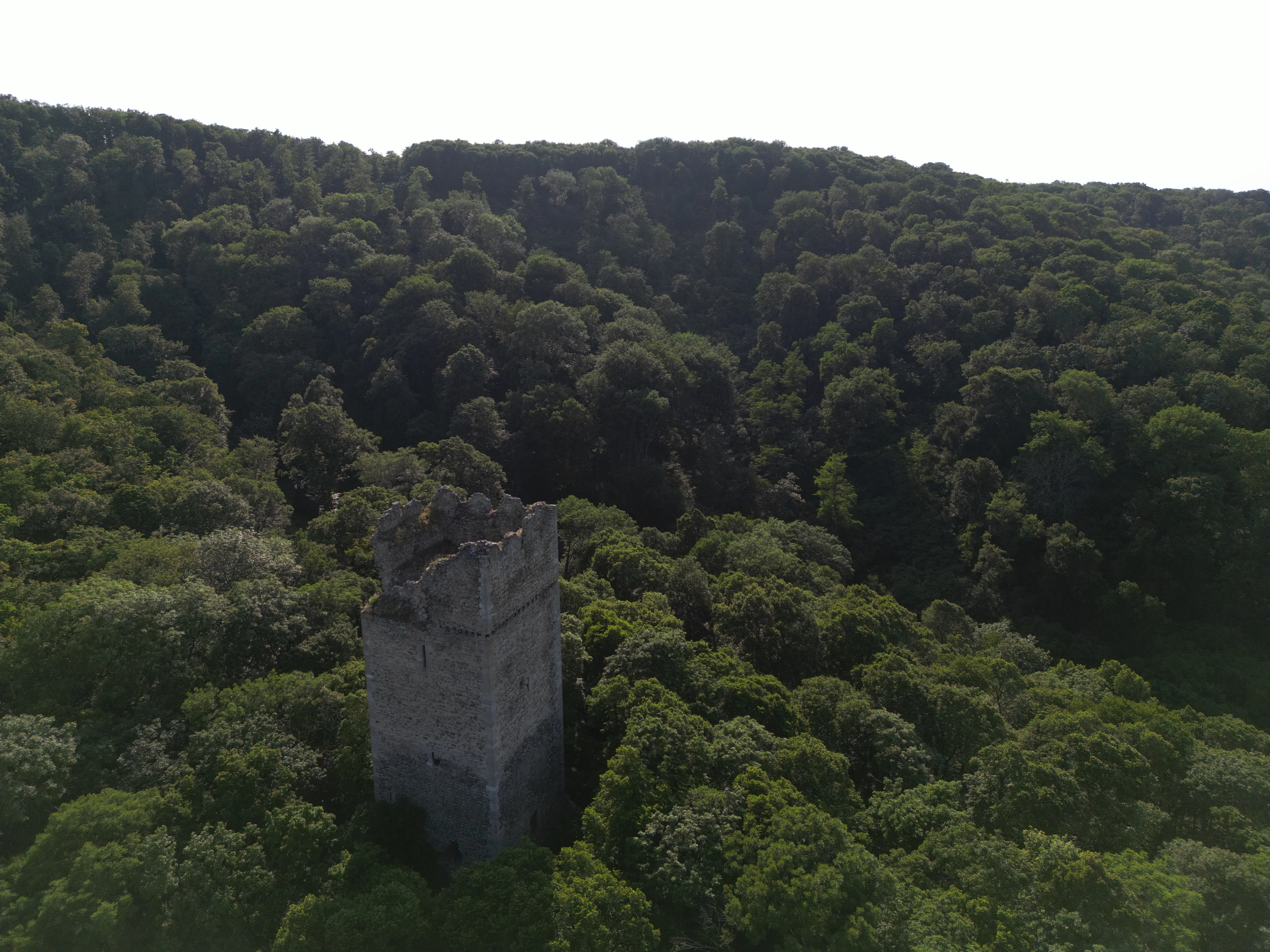 Foto aus Burgenland