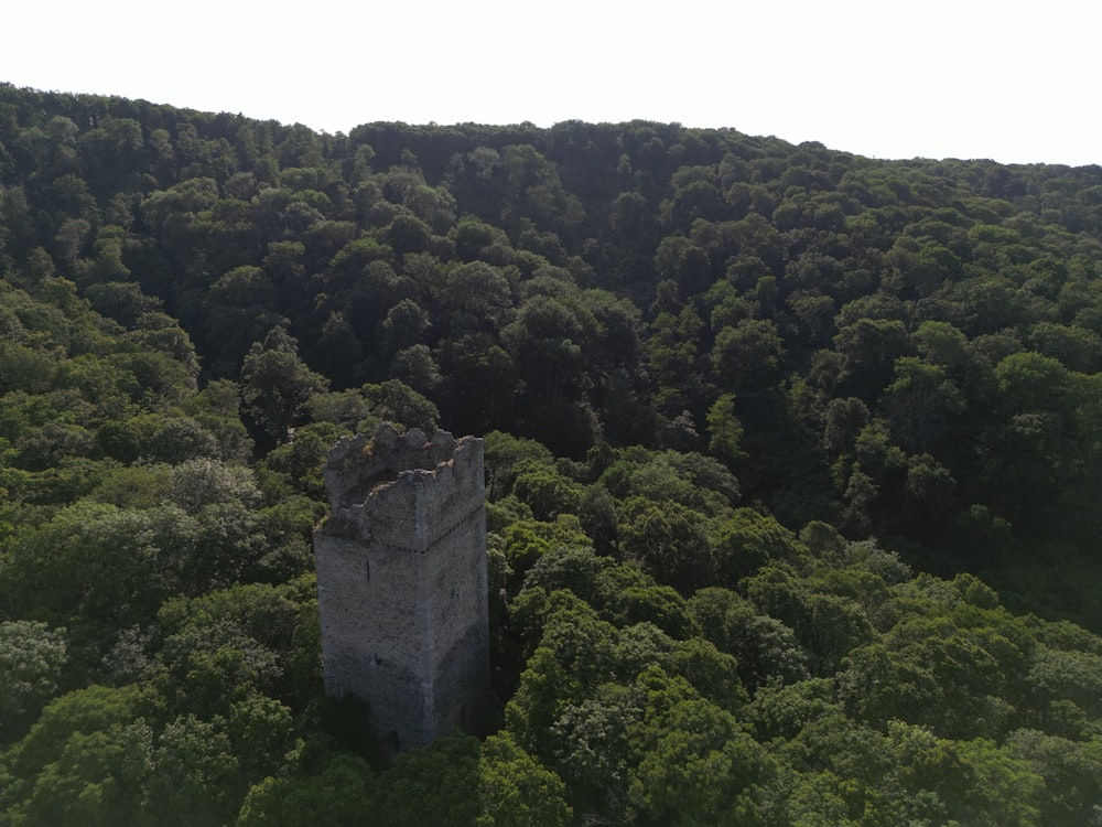 an old tower in the middle of a forest