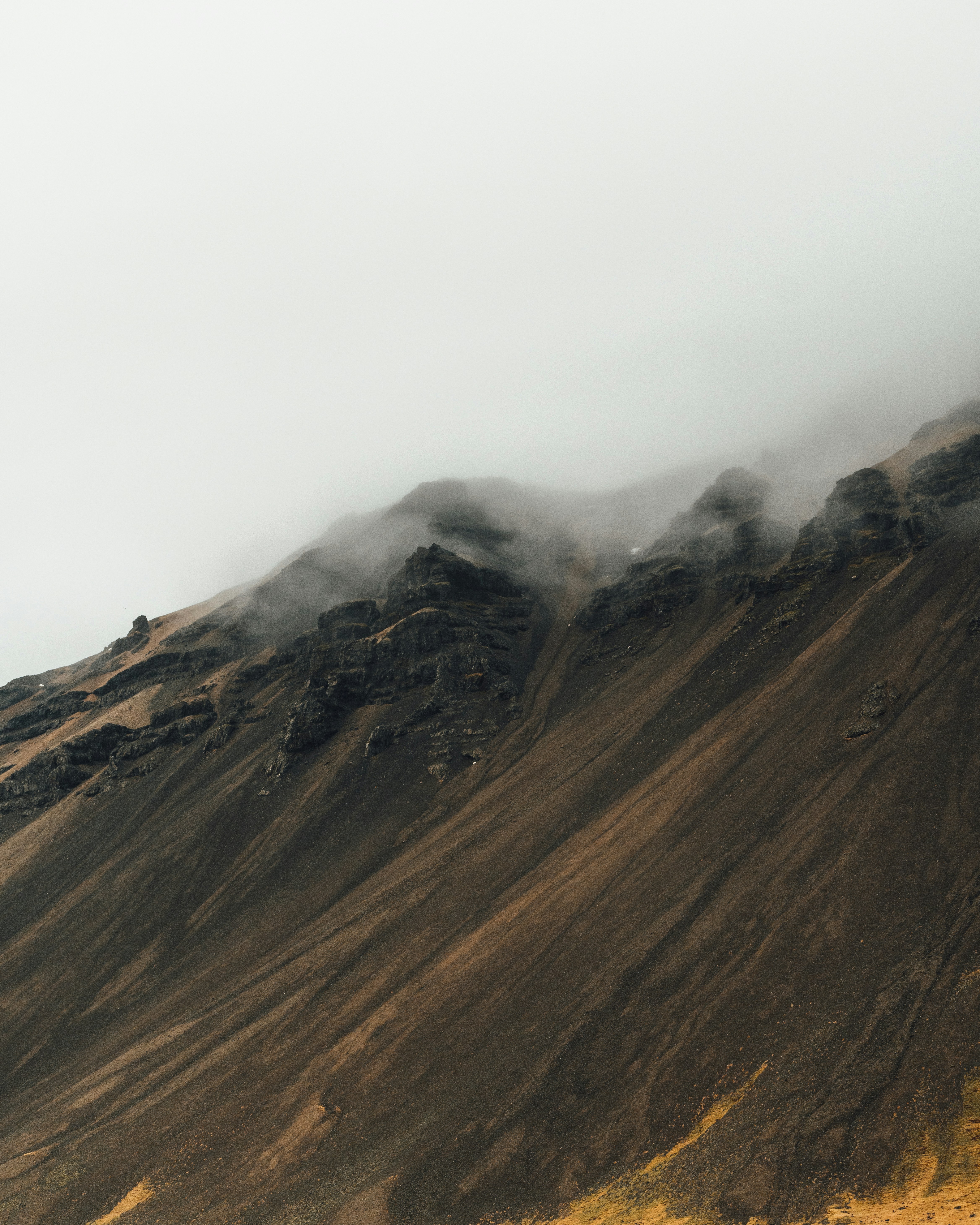 Photo by siboldmichel