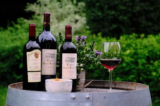 Three bottles of red wine are placed on a wooden barrel outdoors. A glass of red wine is partially filled and placed near the bottles. A small bowl with an orange substance and a potted plant with purple flowers are also present on the barrel. Lush green foliage in the background suggests a garden setting.