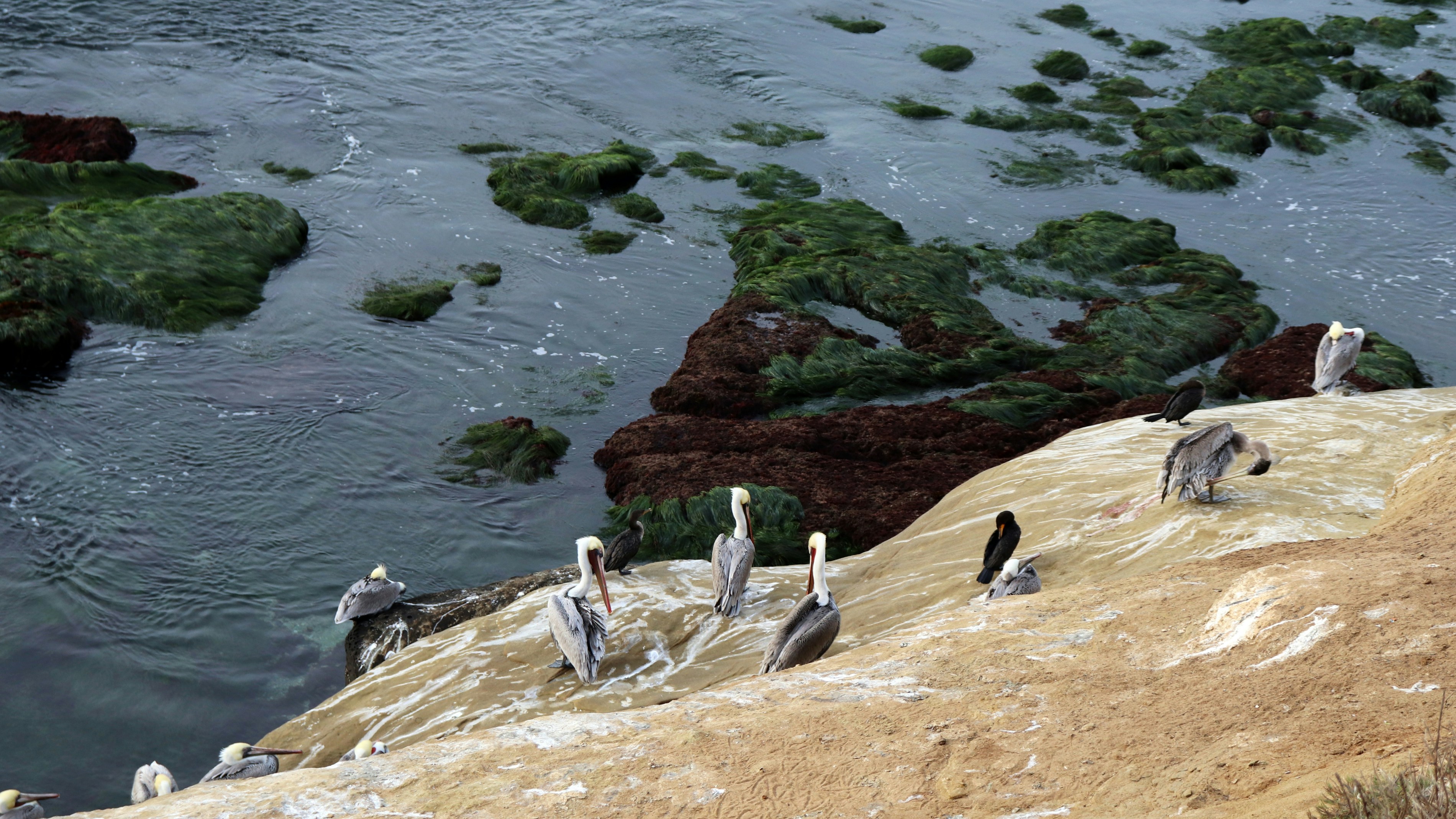 Photo by photo_diary_of_va