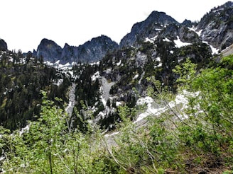 A picturesque landscape of Gulmarg covered in lush greenery and snow-capped peaks.
