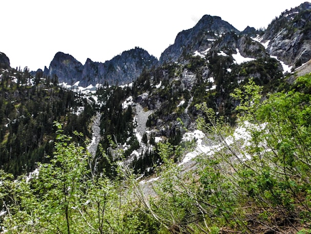 A picturesque landscape of Gulmarg covered in lush greenery and snow-capped peaks.