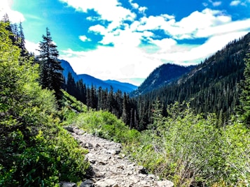 A picturesque mountain landscape with a rocky path cutting through lush greenery. Tall pine trees line the path, and forested mountains rise in the distance under a vibrant blue sky dotted with white clouds.
