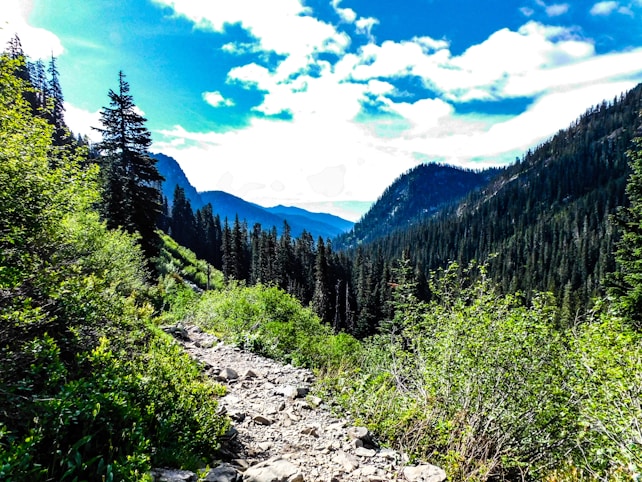 A picturesque mountain landscape with a rocky path cutting through lush greenery. Tall pine trees line the path, and forested mountains rise in the distance under a vibrant blue sky dotted with white clouds.