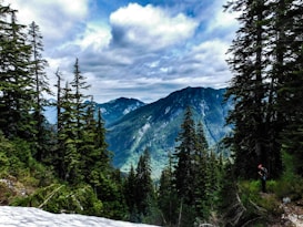 A scenic landscape of a mountainous area with lush green coniferous trees. The foreground features some snow, and there is a solitary hiker in gear standing on a trail to the right. The sky is partly cloudy, casting a soft light over the dense forest and distant mountain peaks.
