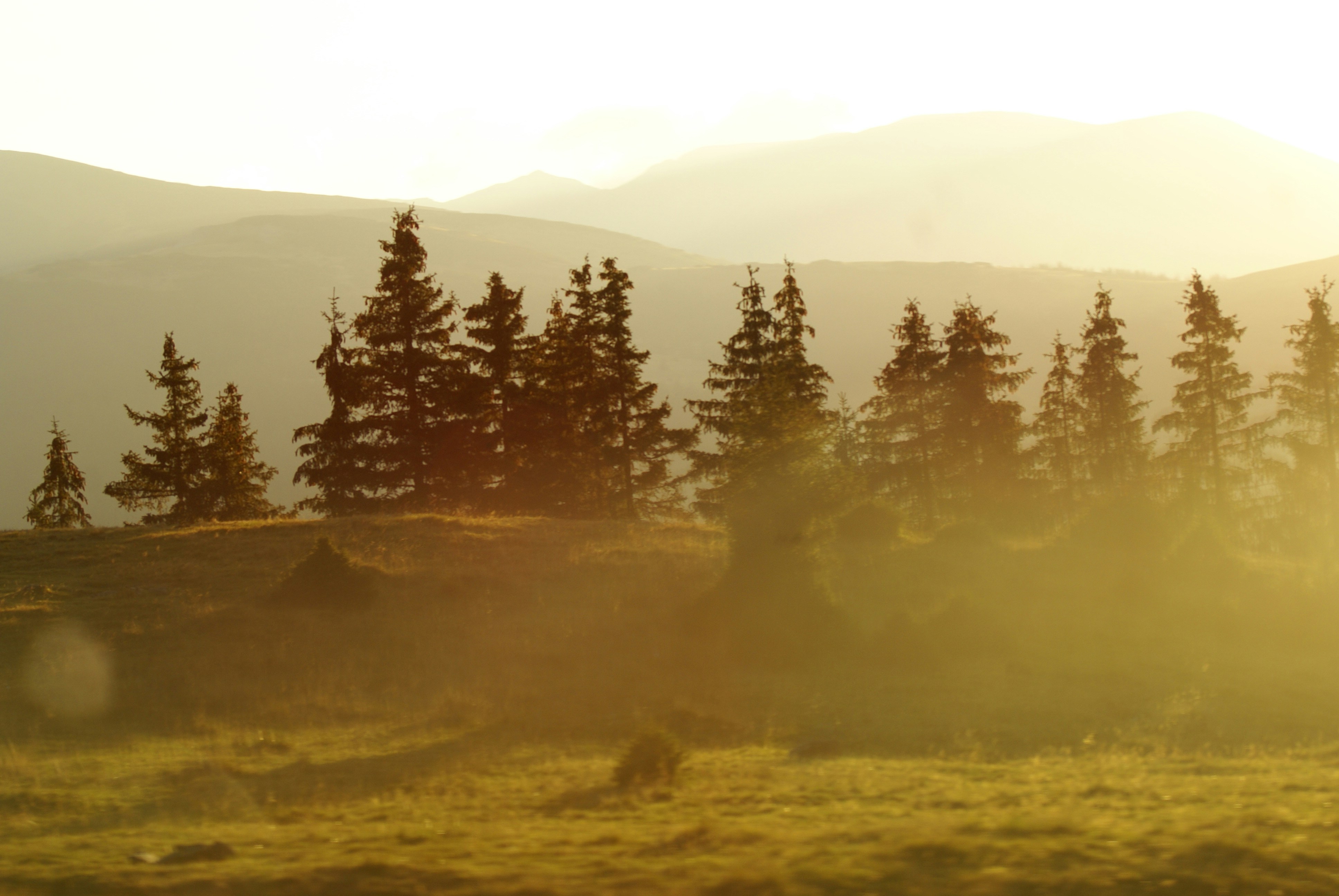 Photo by anamariavisuals