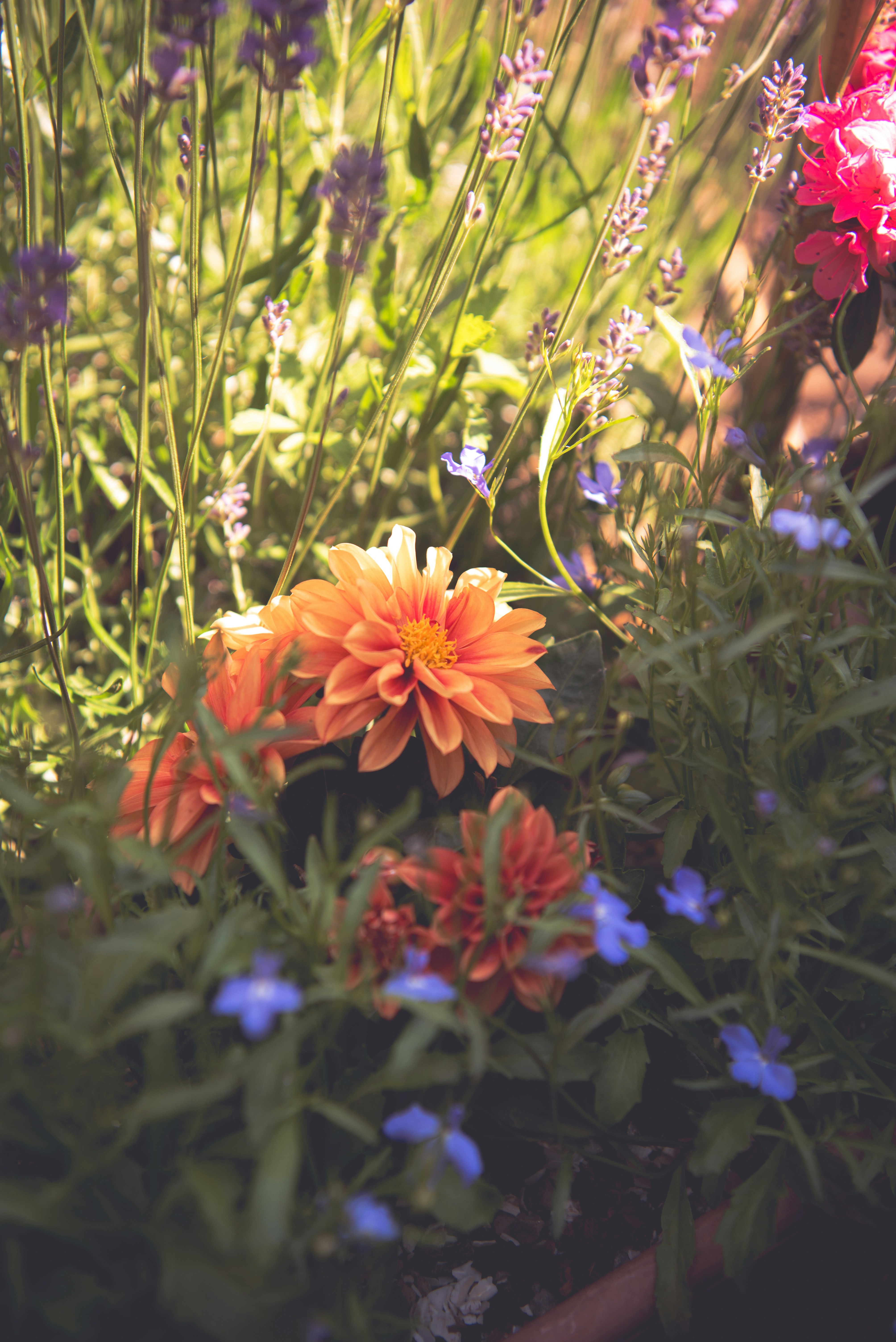 Photo by ellyendeavours