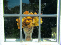 Bright orange ceramic vase holding fresh wildflowers on a windowsill.
