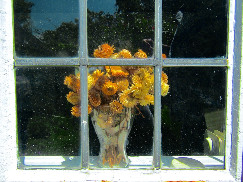 a vase filled with yellow flowers sitting in front of a window