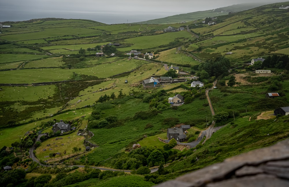 a view of a lush green hillside with houses on it