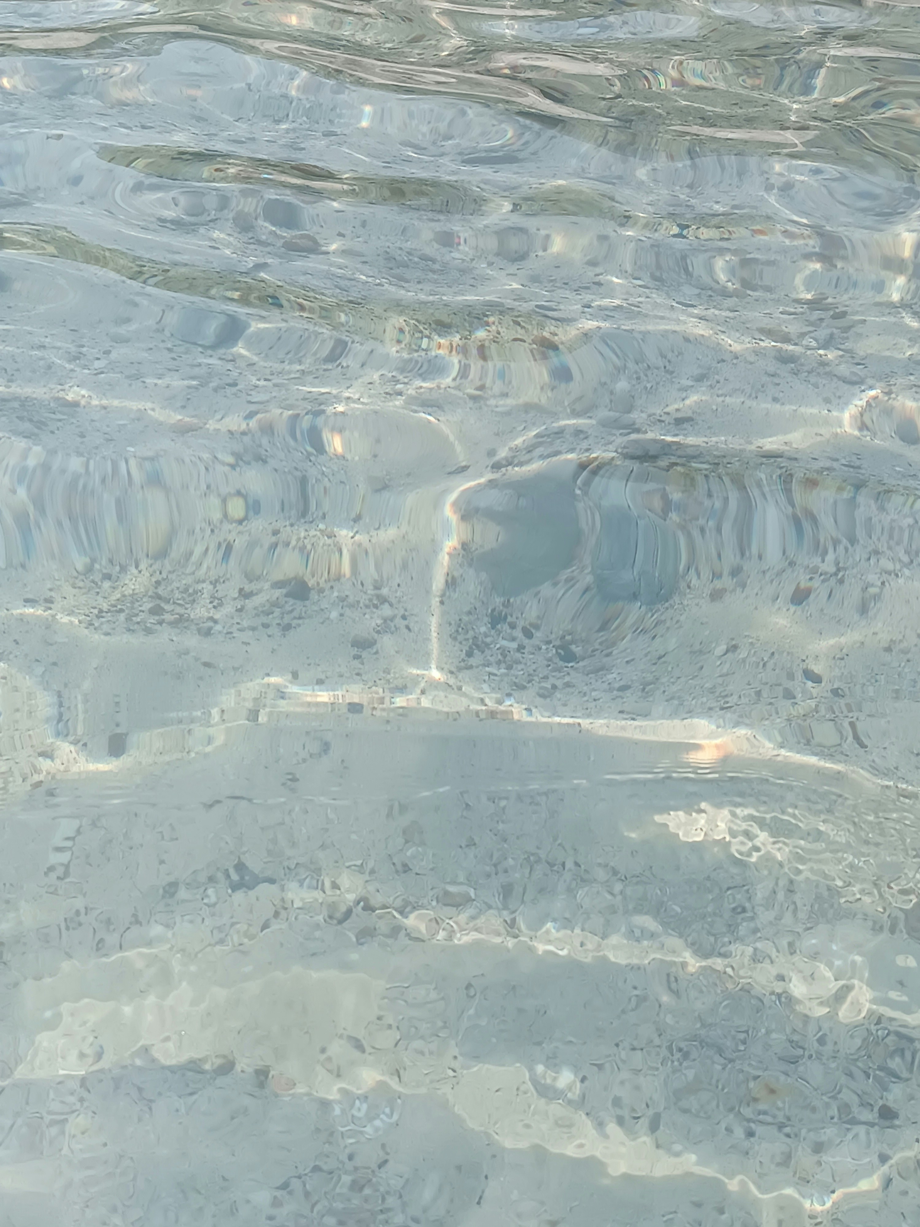 Photo by sunsepflower