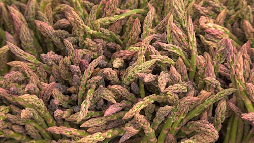 A dense arrangement of fresh asparagus spears with vibrant green hues and slightly purplish tips, tightly packed together.