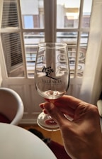 A hand is holding a clear wine glass with the text 'Valencia Denominación de Origen' printed on it. The background shows a window with multiple panes and a view of buildings outside. Sunlight creates a warm ambiance, casting soft shadows.