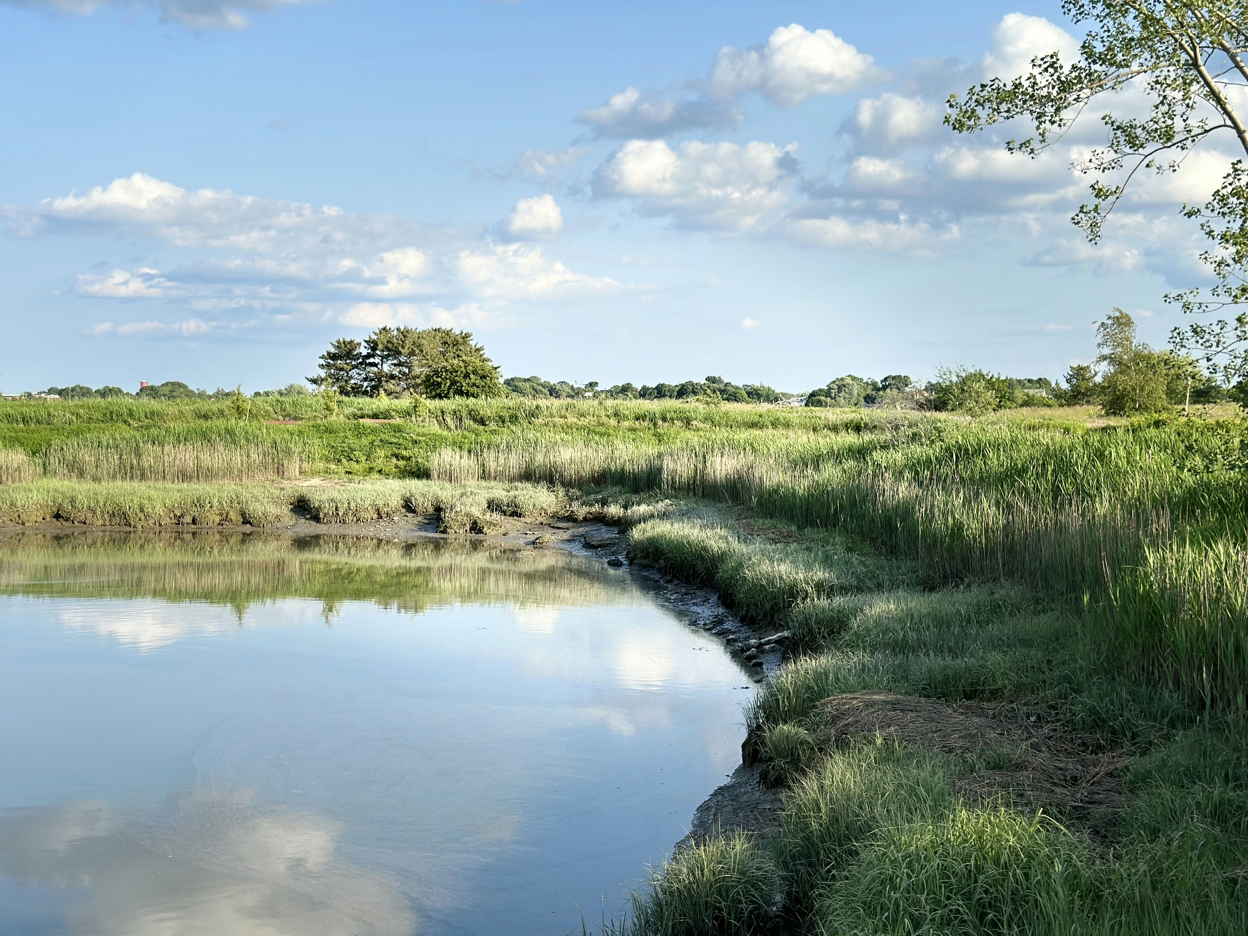 Photo by ashtonlandry