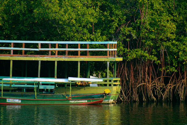 A traditional wooden boat gently floating on the calm waters of the Chiquimulilla canal surrounded by lush green mangroves.