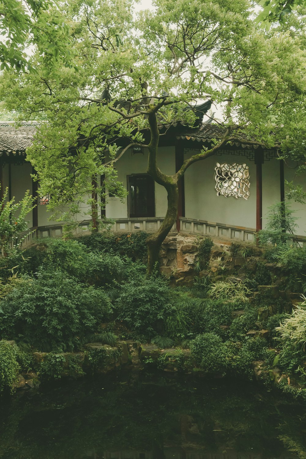 a small building with a tree in front of it