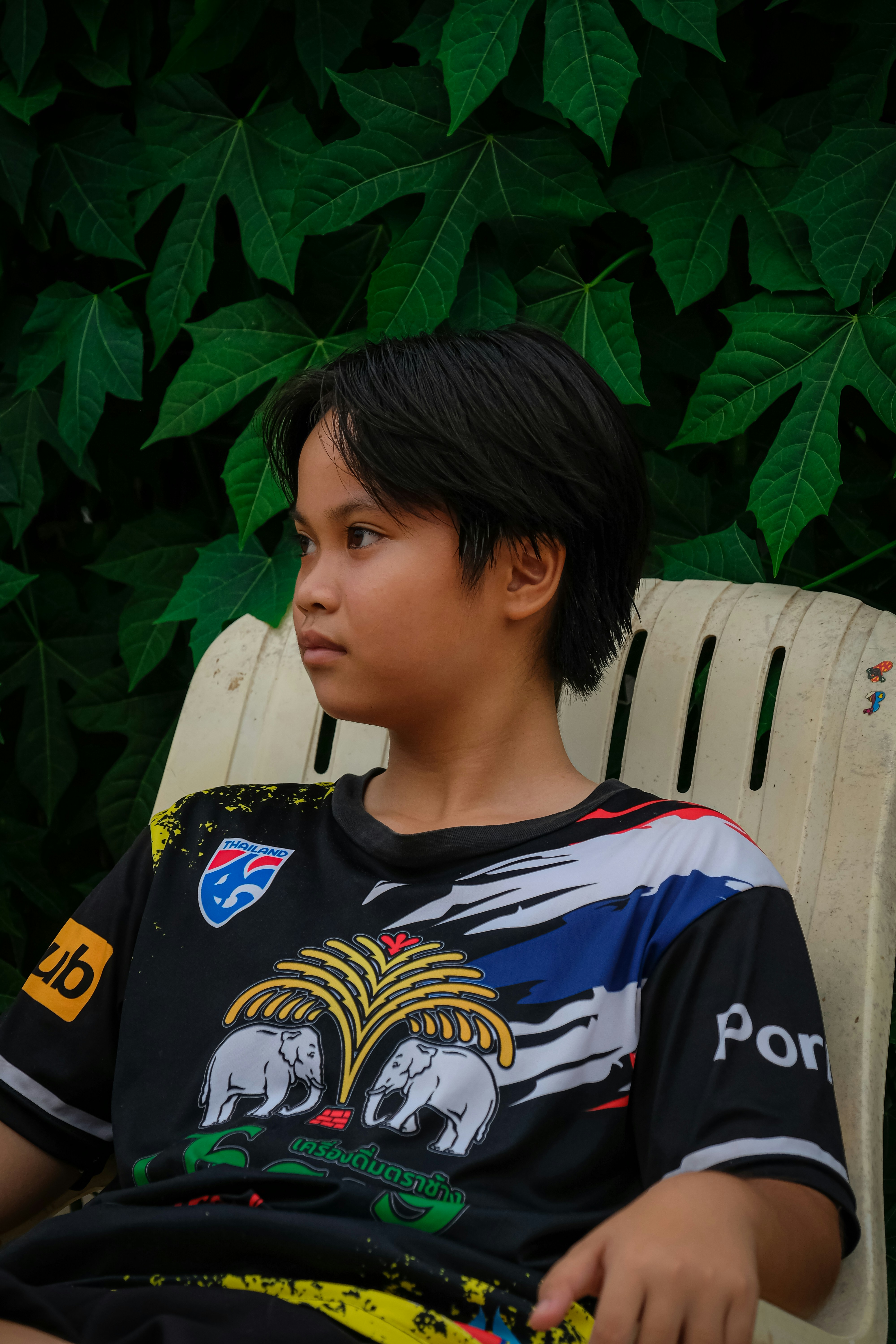 A young boy sitting in a chair in front of a bush photo – Free Portrait ...