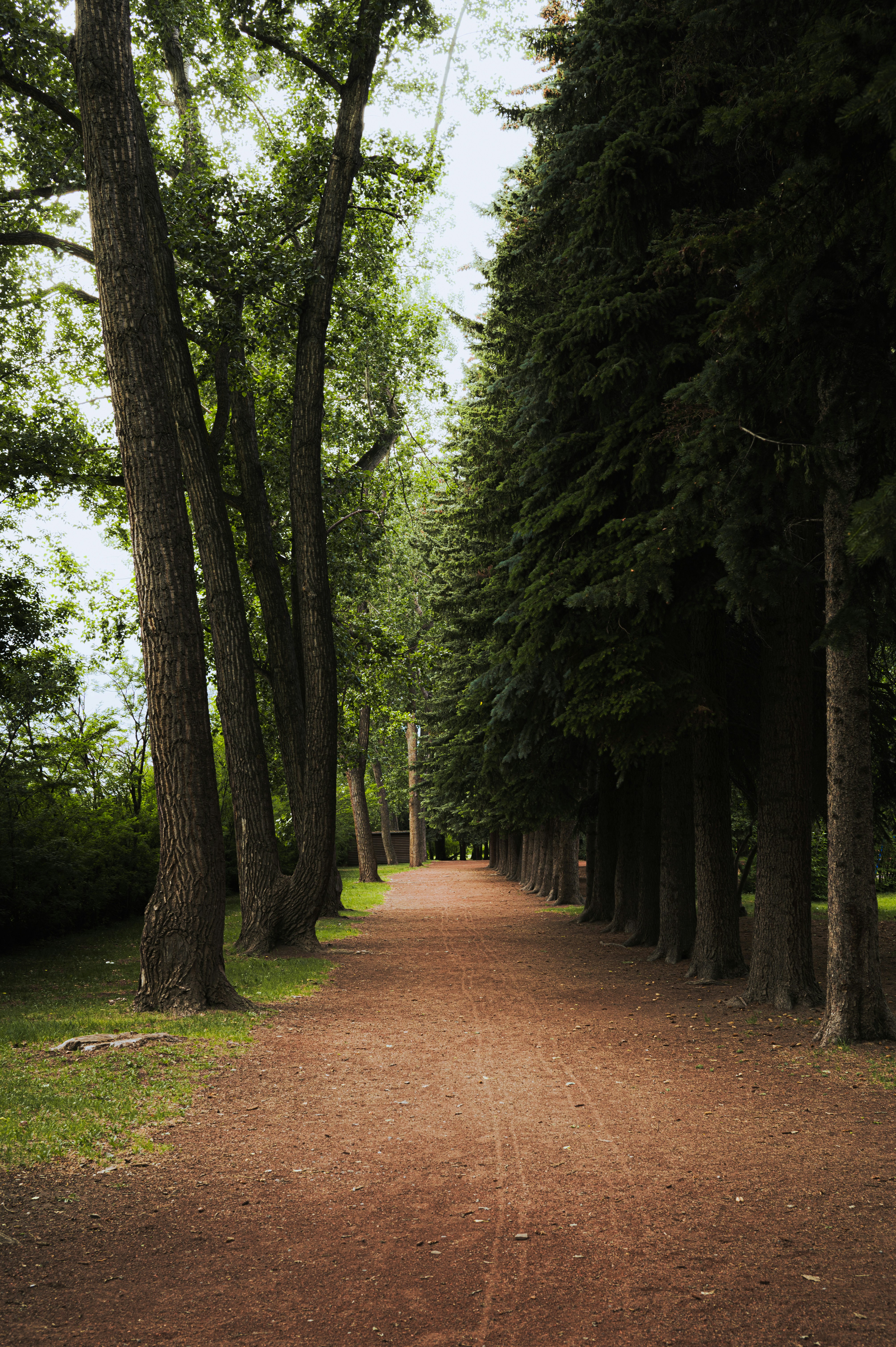 Photo by ryunosuke_kikuno