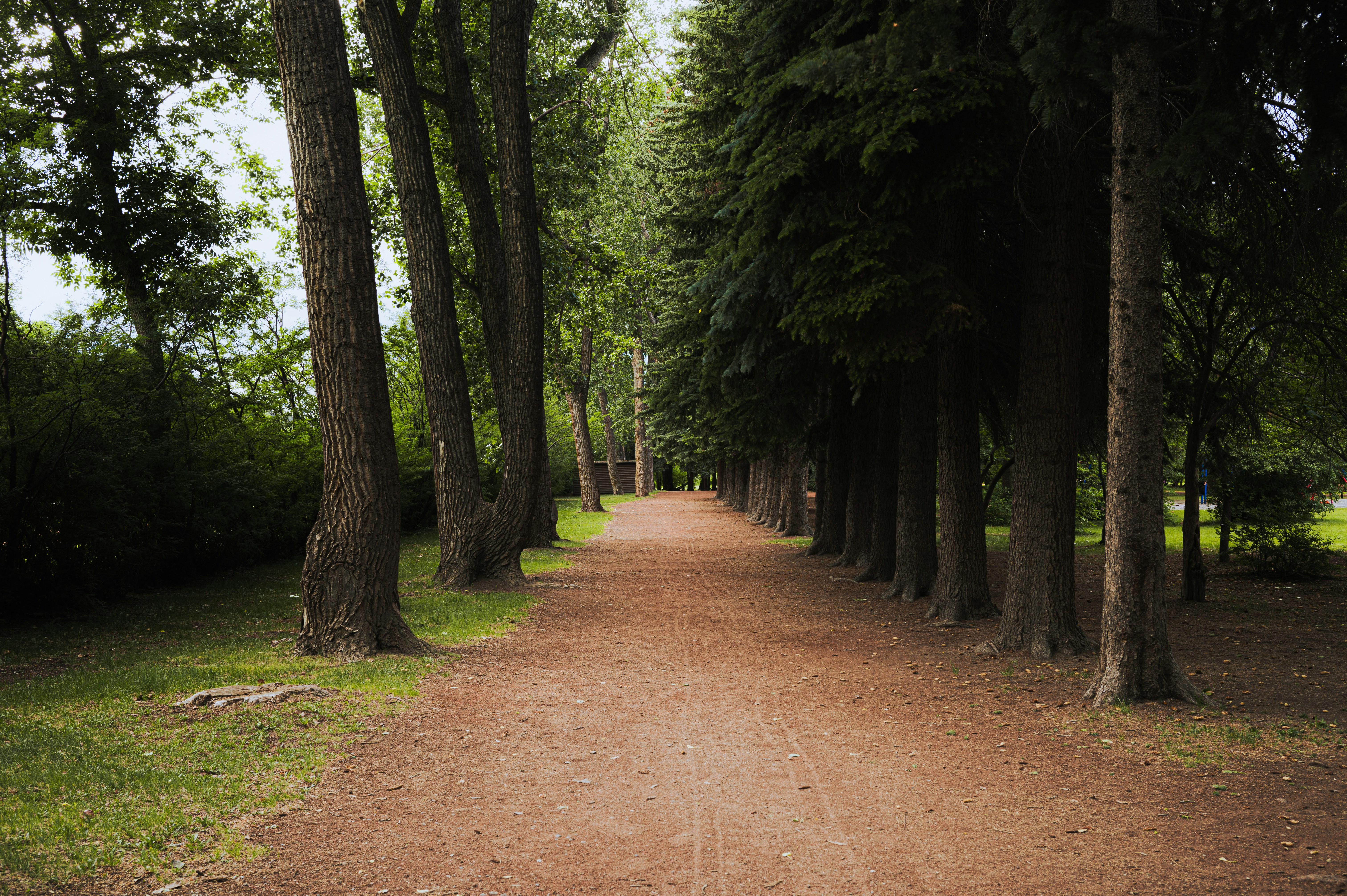 Photo by ryunosuke_kikuno