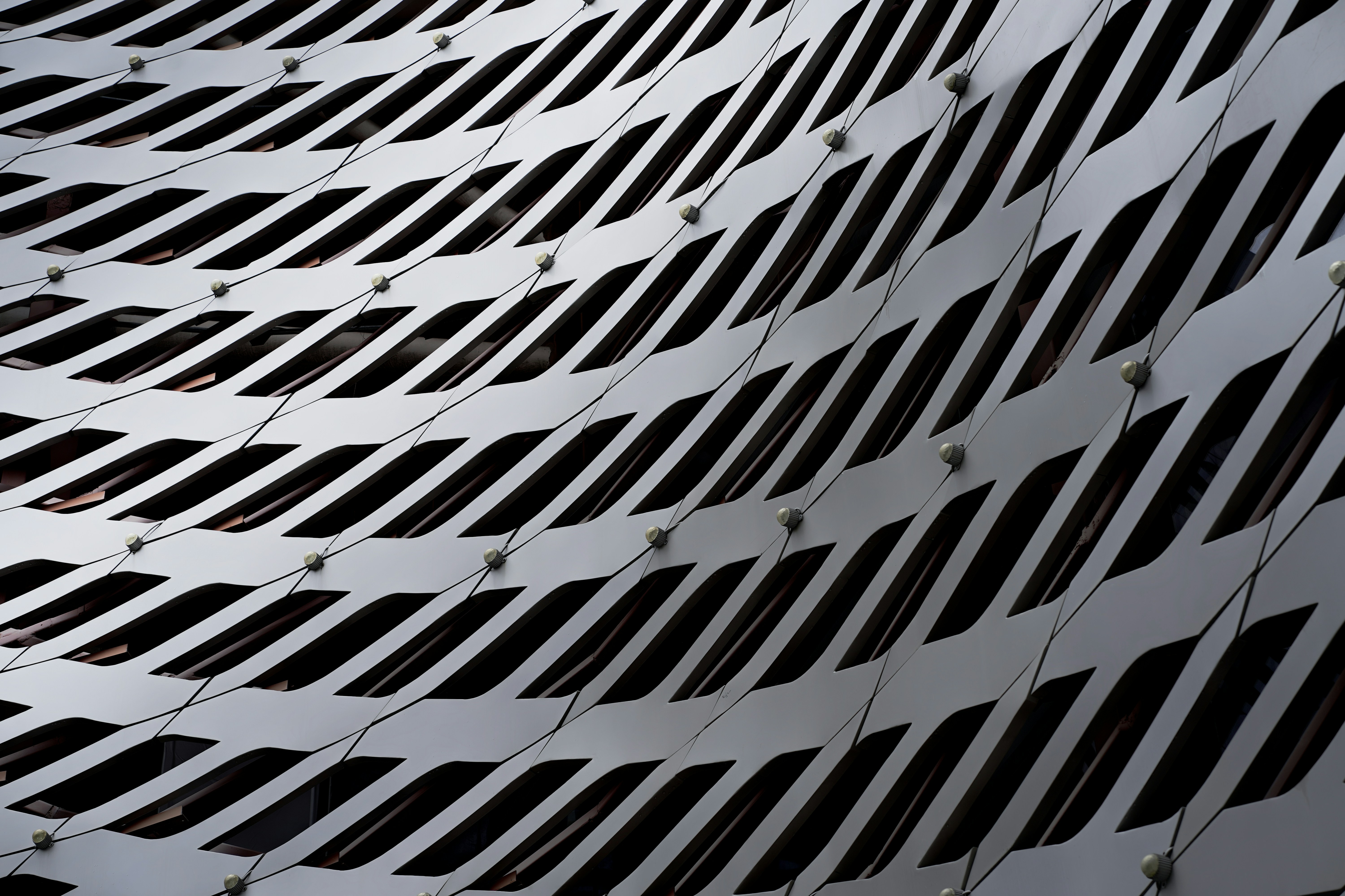 文化衝擊！這件事顛覆三觀，看完保證你睡不著！