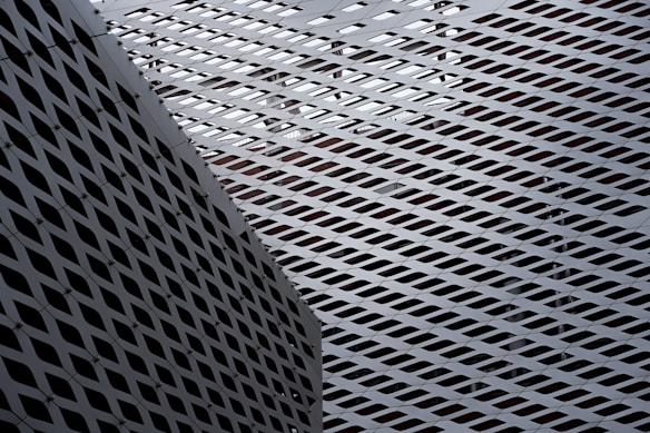 A detailed view of a complex architectural mesh or lattice structure made from metal. The crisscross pattern creates an intricate design with interlocking diamond shapes, casting shadows and allowing glimpses of the building behind it.