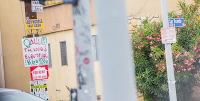 A street scene featuring various signs attached to a utility pole and a building wall. The signs include advertisements for house buying, electrical services, property rental, and an upcoming event. There's a street sign for San Vicente Boulevard and a 'No Stopping Any Time' sign. Bright pink flowers and green foliage partially cover the building wall.