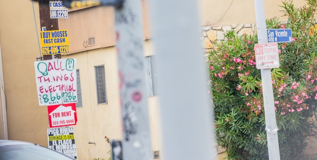 A street scene featuring various signs attached to a utility pole and a building wall. The signs include advertisements for house buying, electrical services, property rental, and an upcoming event. There's a street sign for San Vicente Boulevard and a 'No Stopping Any Time' sign. Bright pink flowers and green foliage partially cover the building wall.