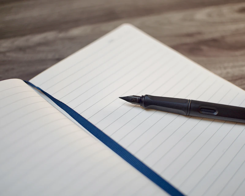 Lamy Safari Fountain Pen Charcoal Matte Black Fine Nib (L17F)
