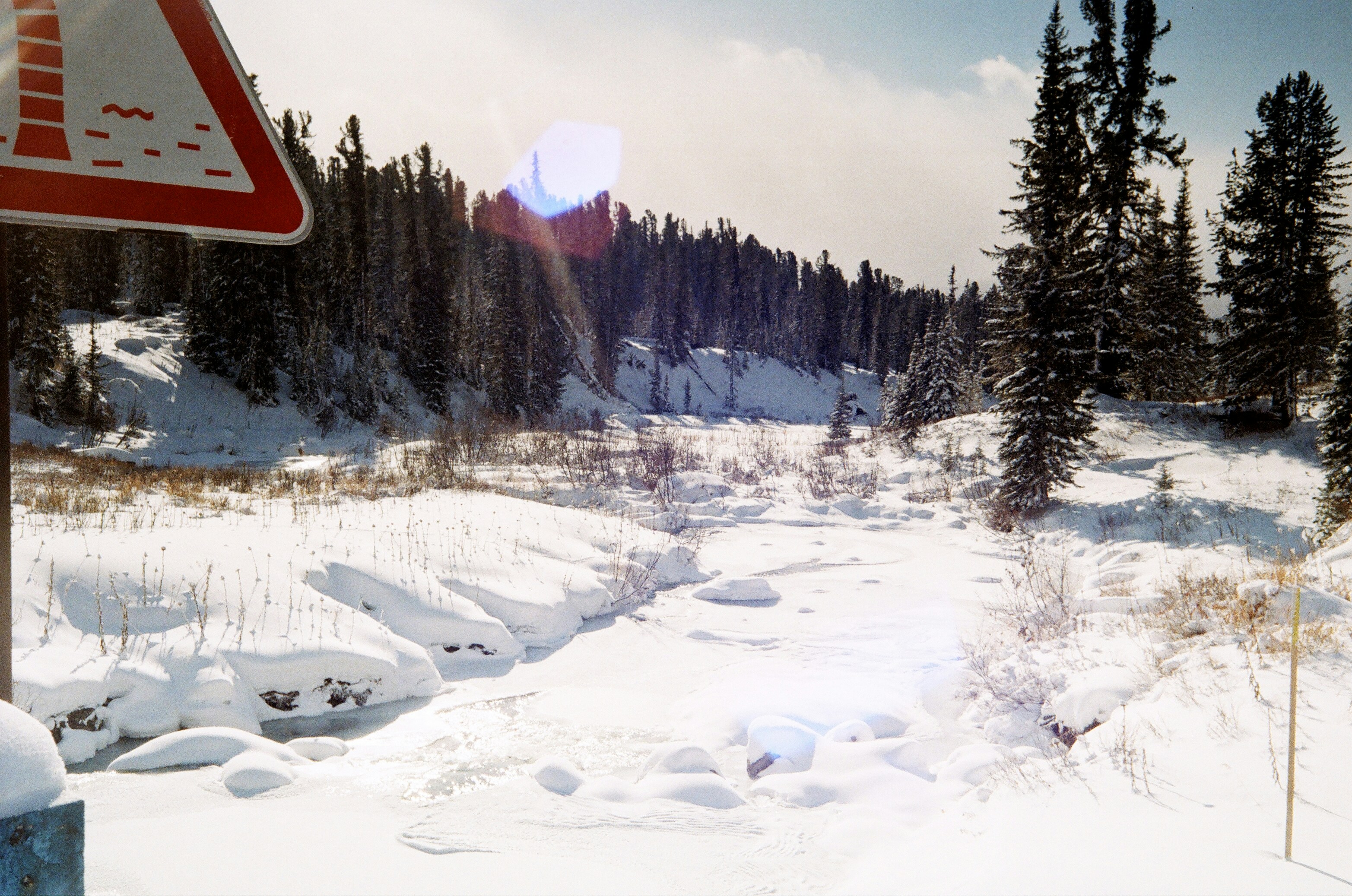 Photo by ilya_zaripov