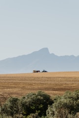 Farm machinery refueling in a vast South African field at sunrise.