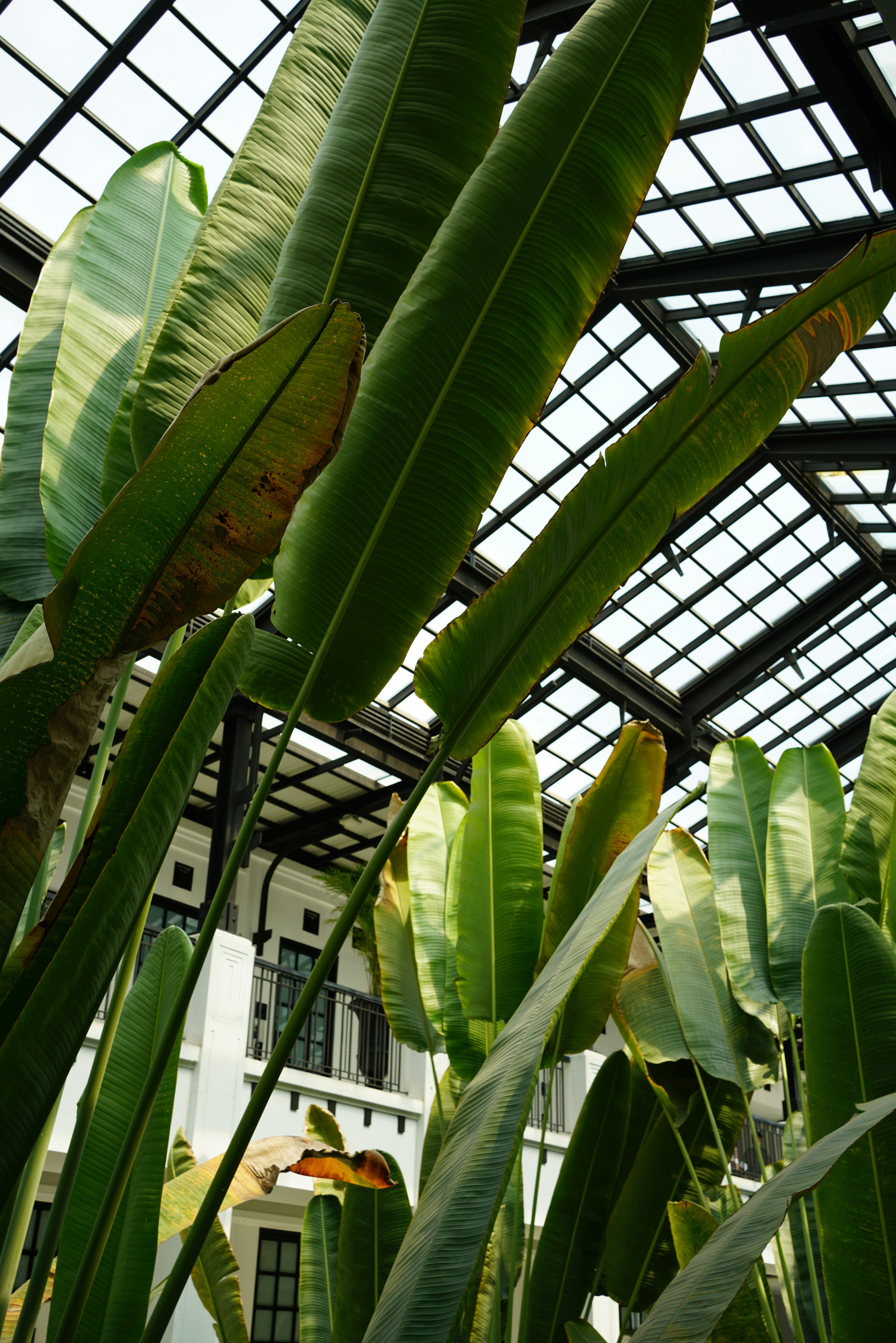 Photo by beyondthebay