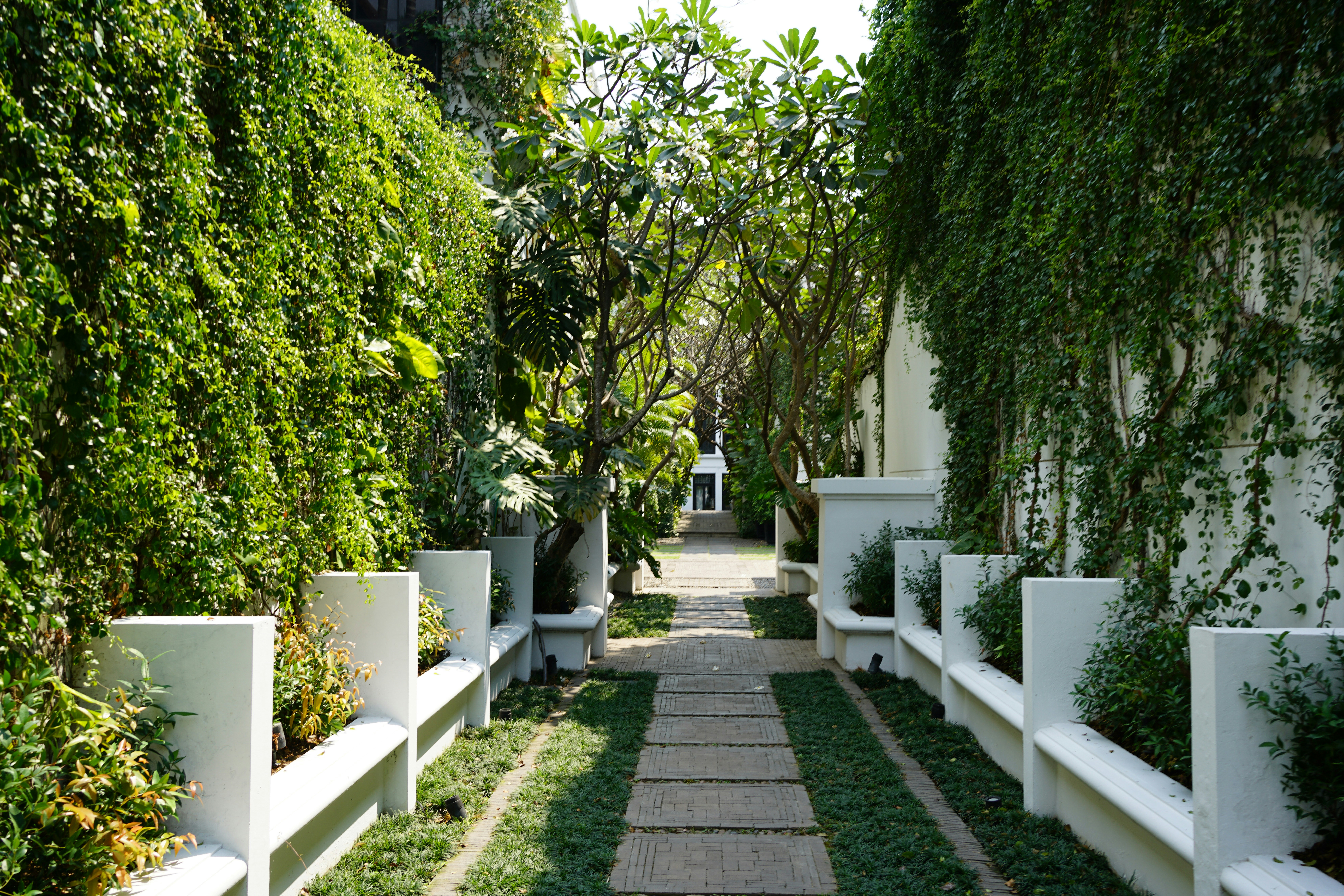 a walkway between two buildings with plants on either side