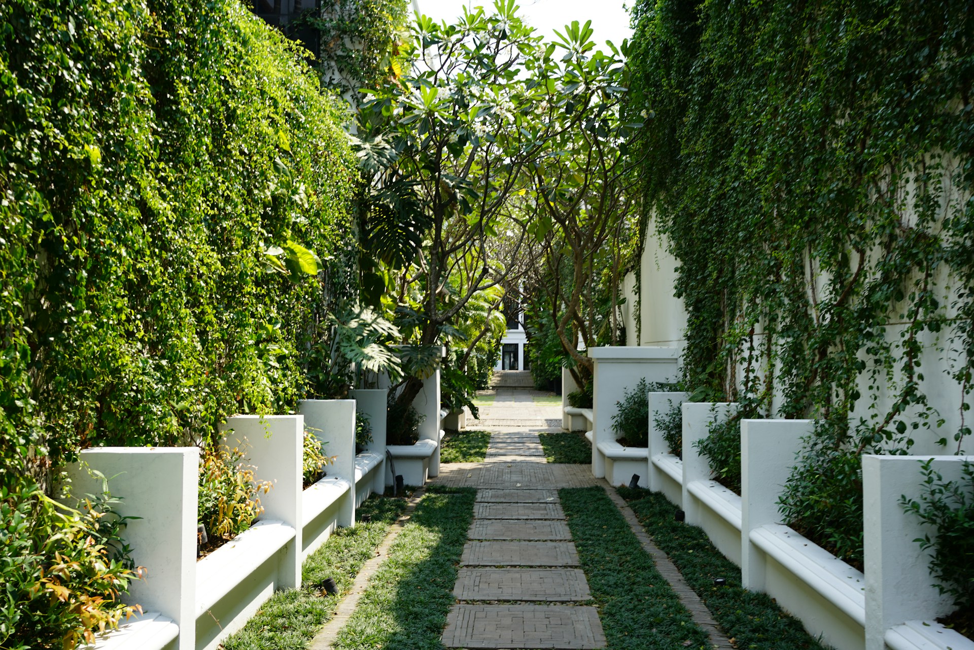 a walkway between two buildings with plants on either side