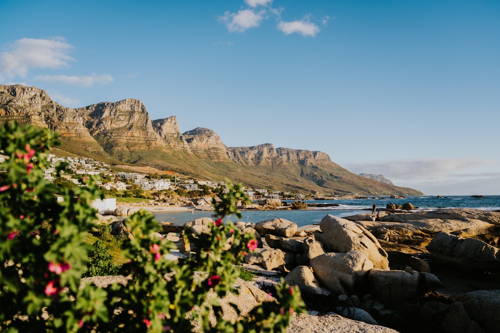 a view of a beach with mountains in the background