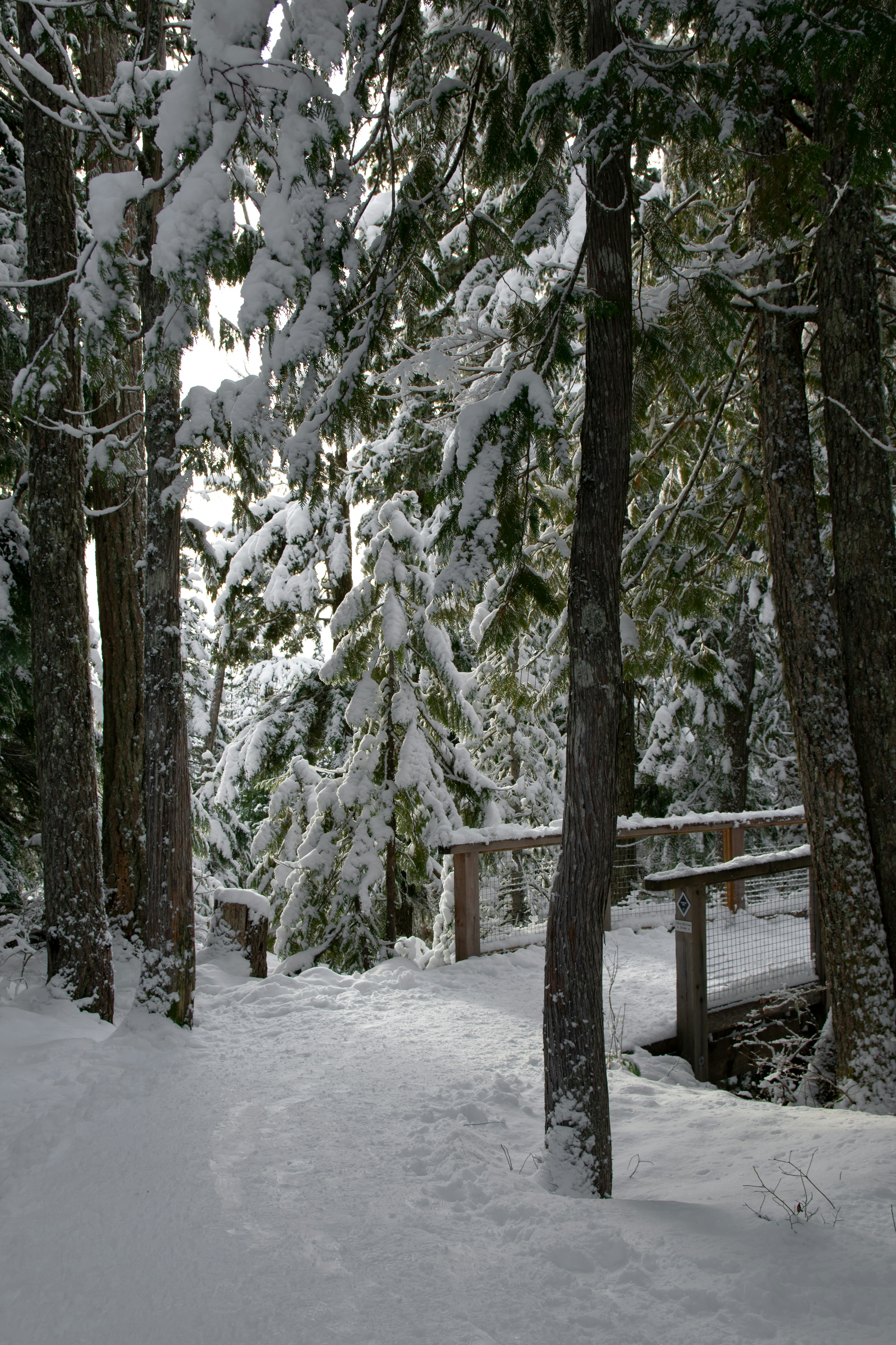 Photo by anastasiya_dal