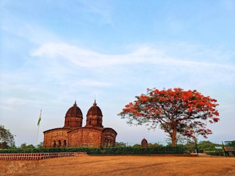 A historic temple structure made of reddish-brown stone stands prominently on the left side, characterized by its intricate architecture and dome-shaped tops. To the right, a vibrant tree with lush green leaves and bright red flowers provides a striking contrast against the clear blue sky. The foreground features a sandy path, and a flagpole with a tricolor flag is present next to the temple.