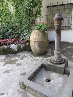 A stone courtyard with ivy climbing the walls and a classic wrought-iron fountain at the center.