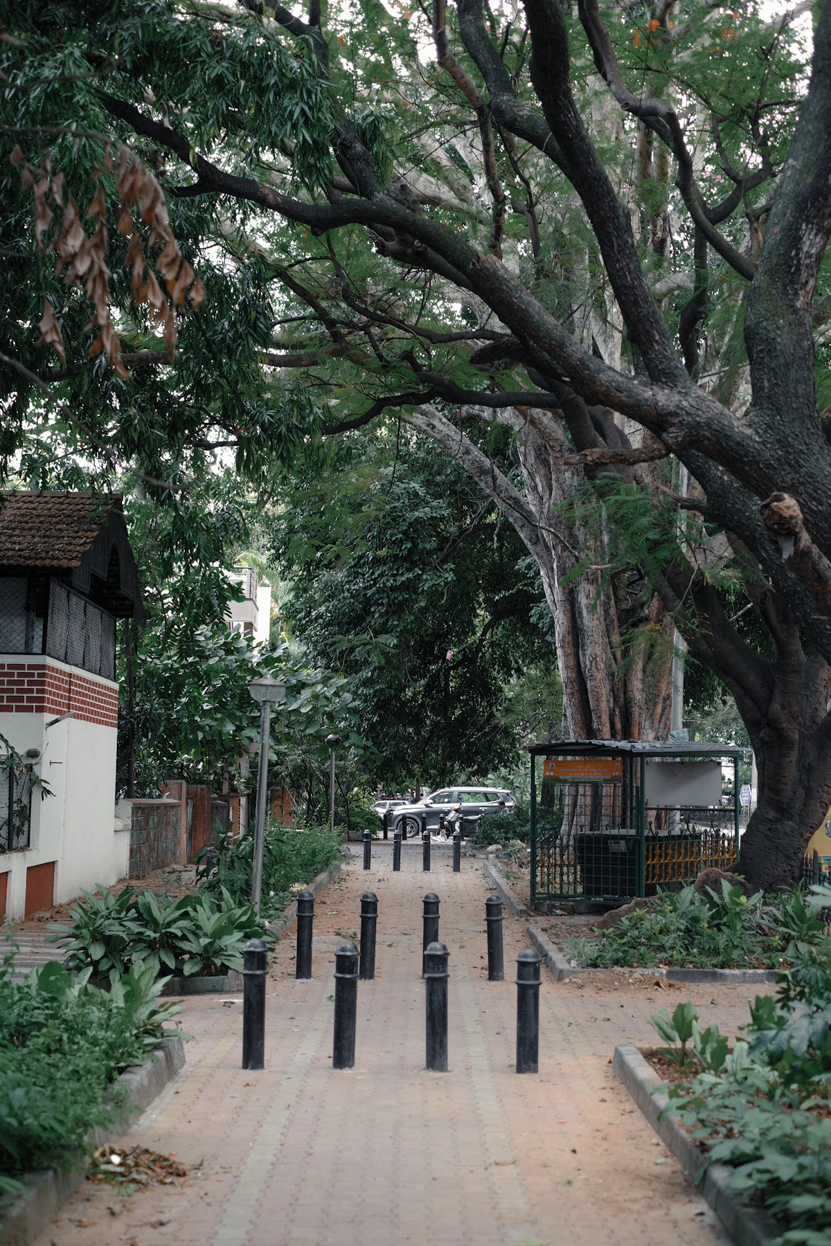 North Bangalore Nature Trail