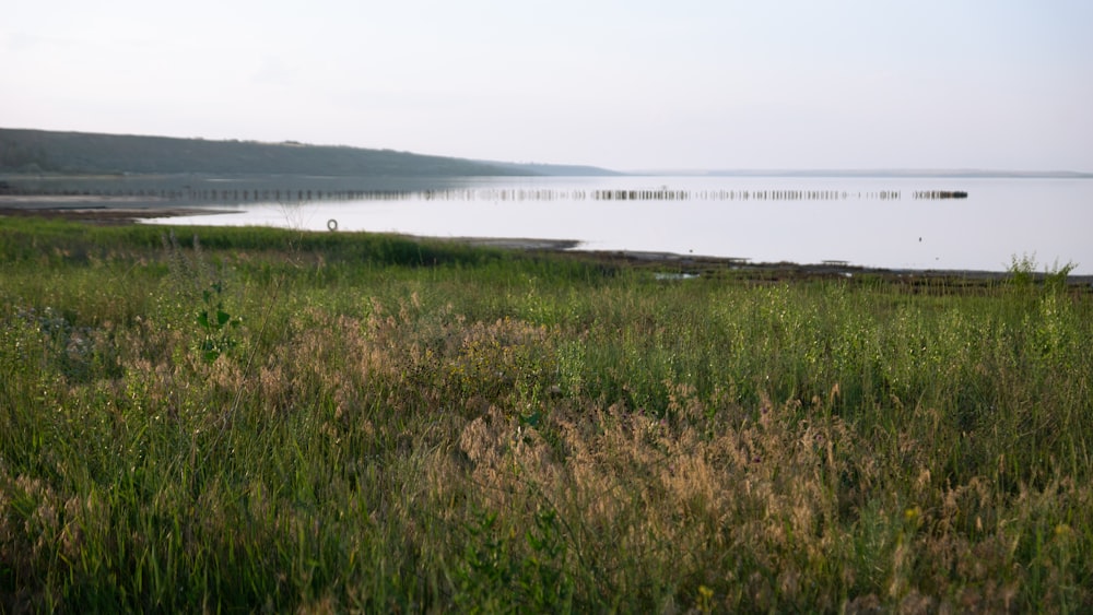 a large body of water sitting next to a lush green field