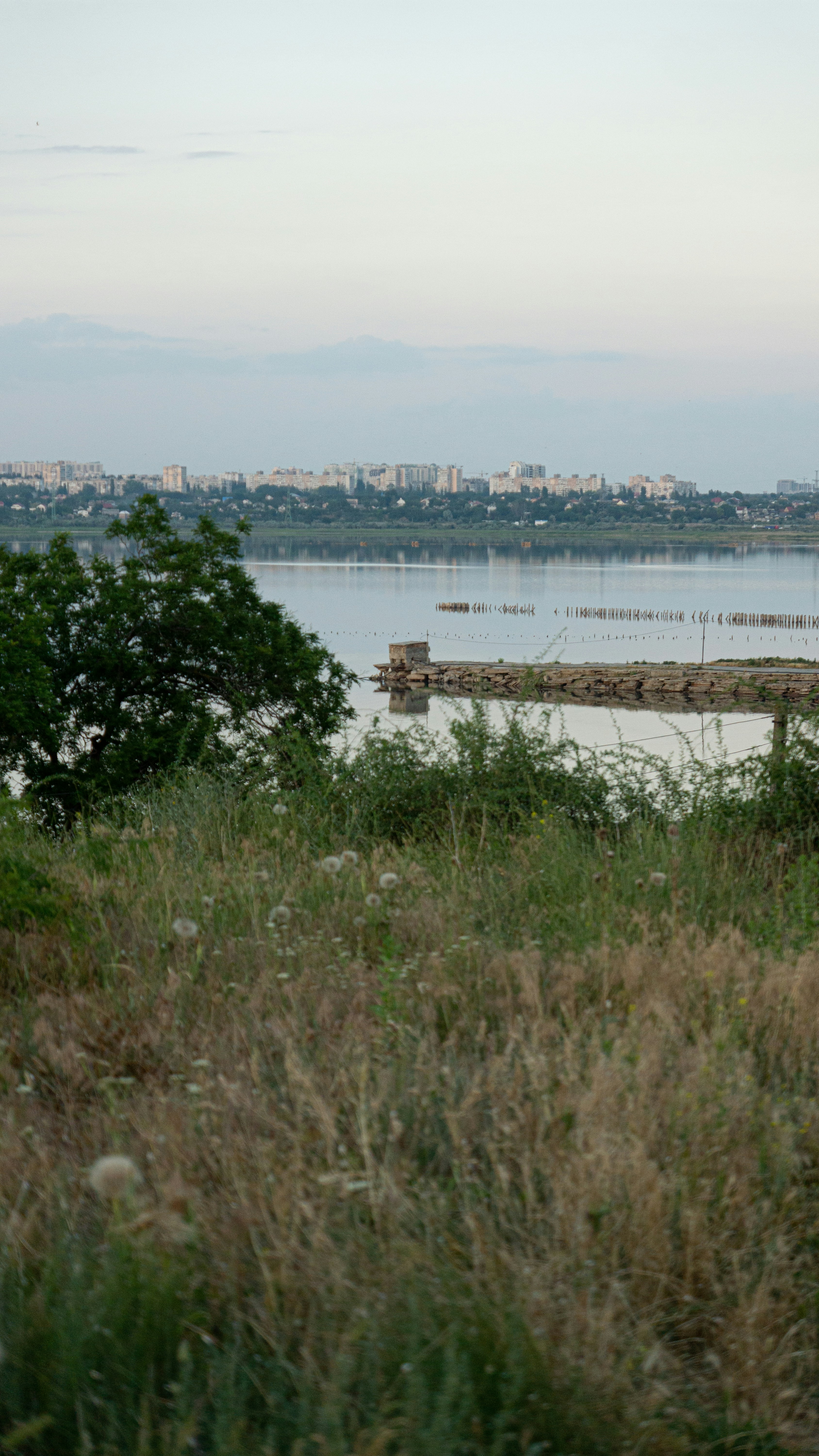 a view of a body of water from a hill
