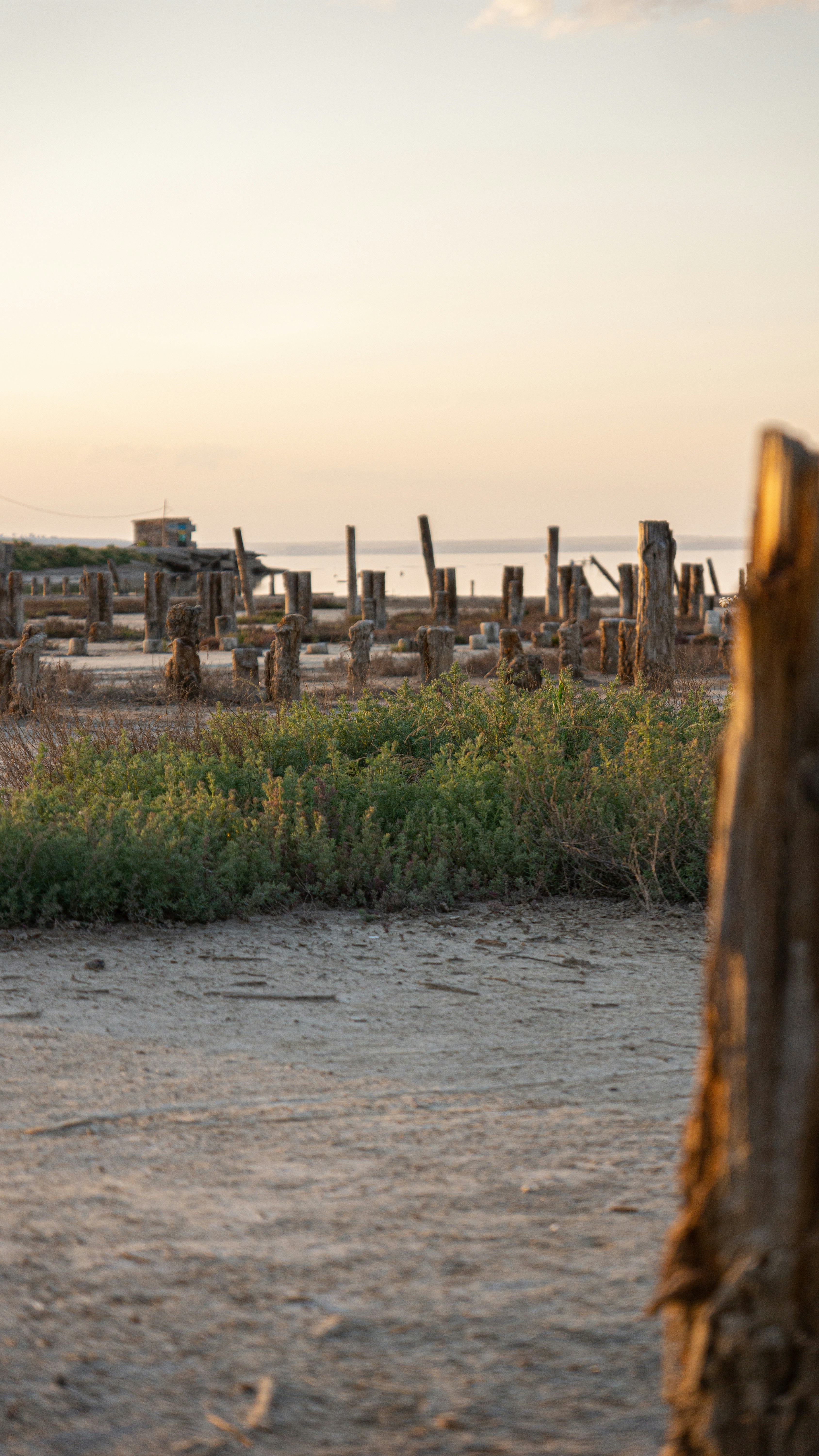 Photo by neolyamoroz