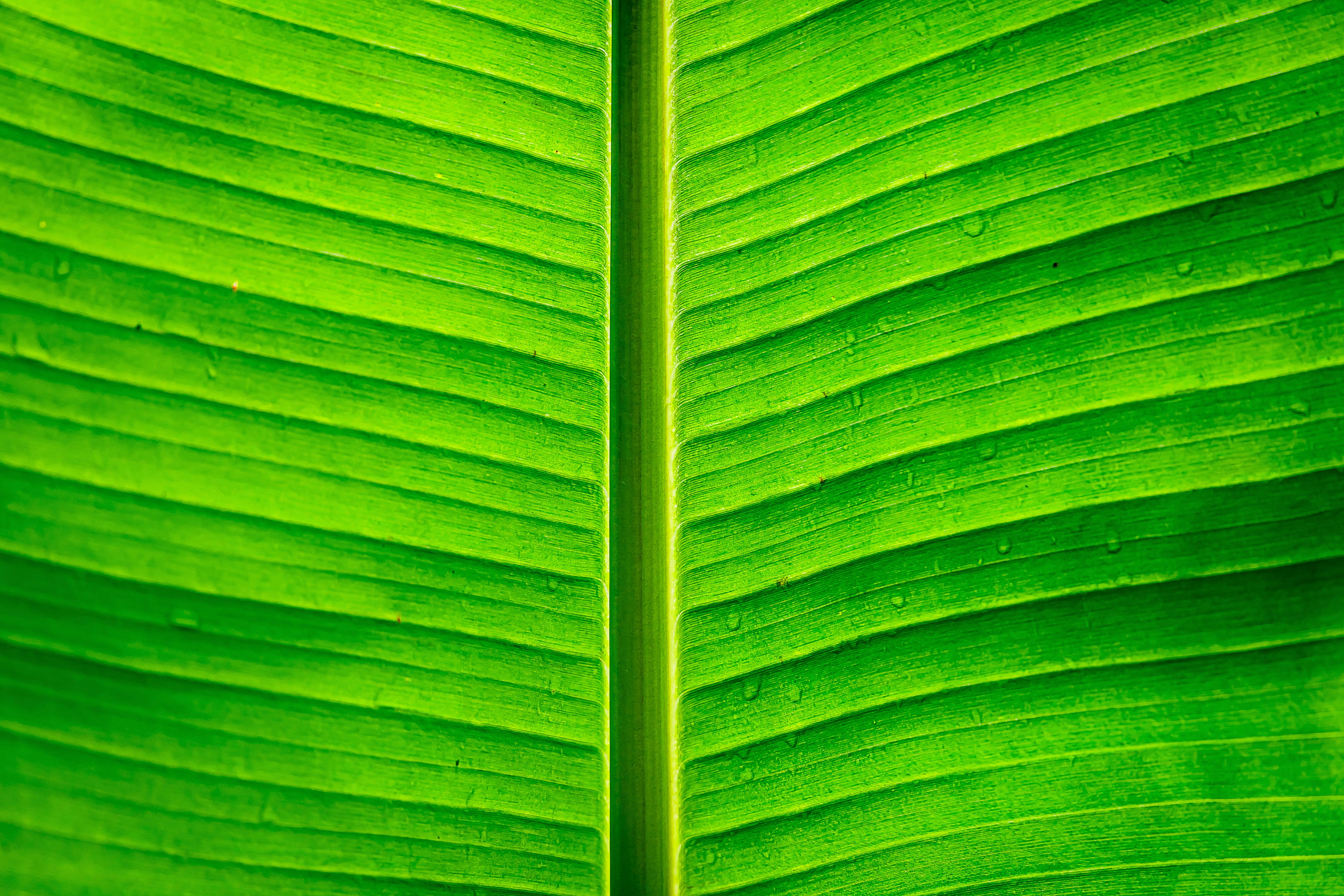 Photo by arizonanthony