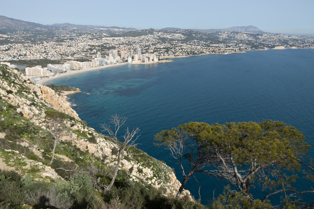 a large body of water next to a lush green hillside