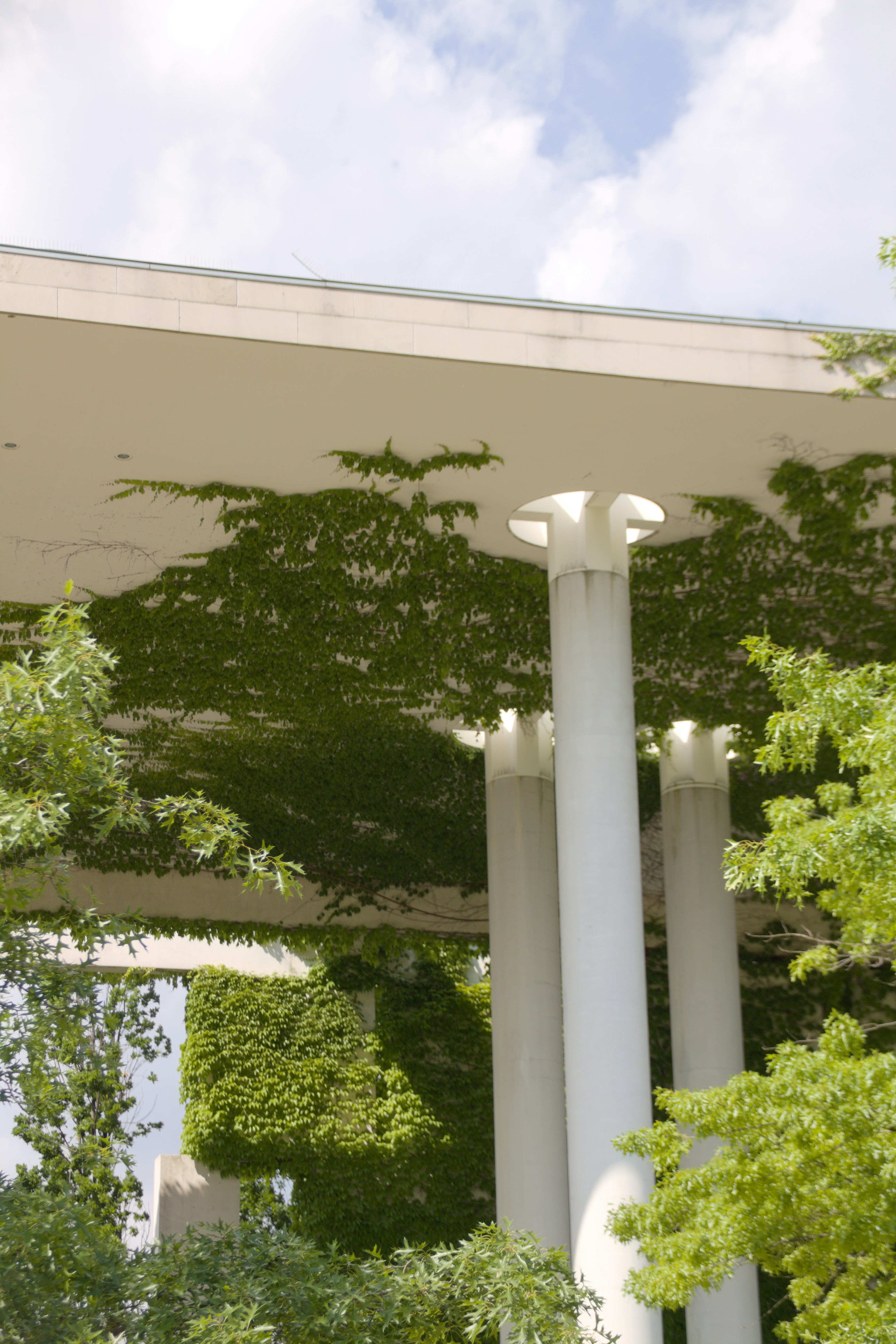 Photo by klarin_steffens