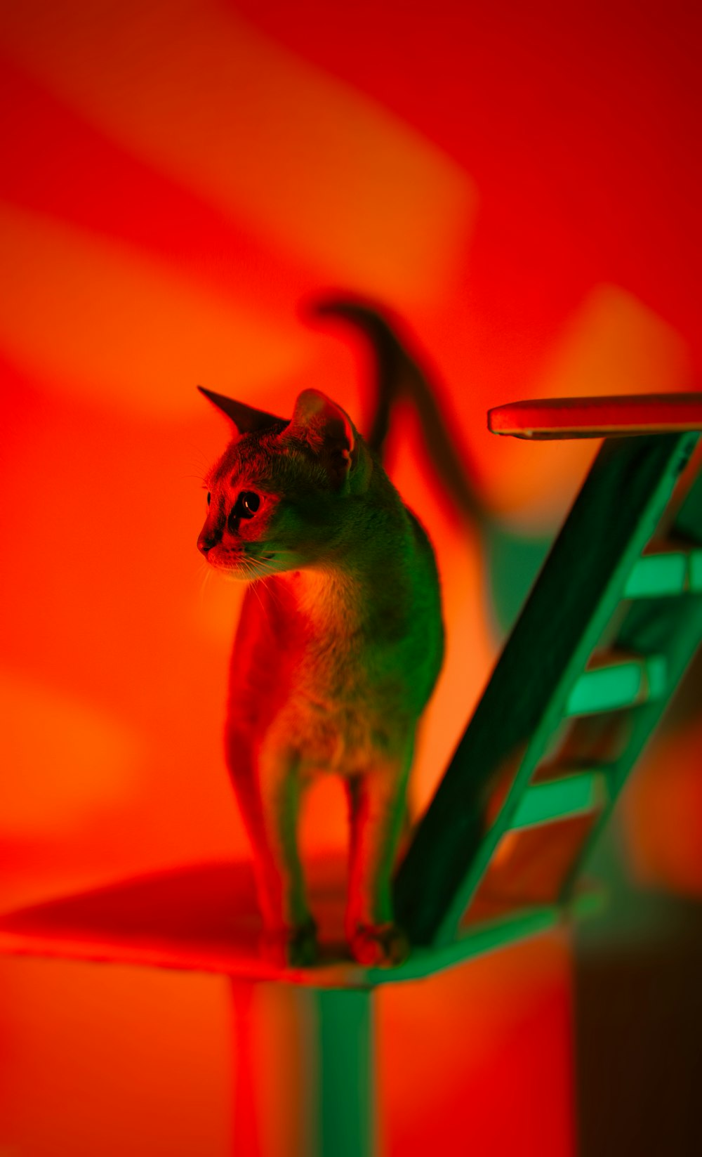 a cat figurine sitting on top of a chair