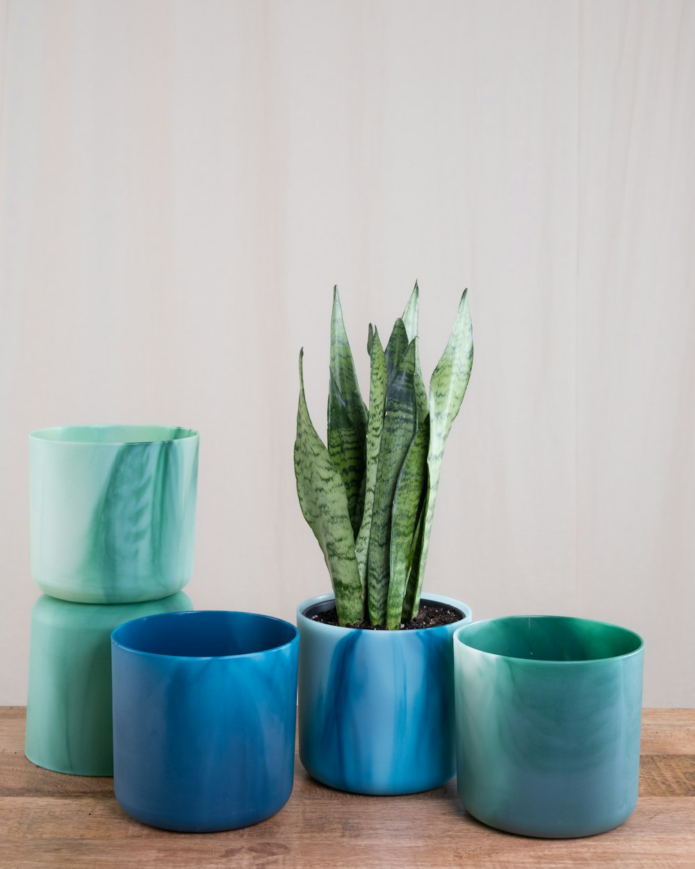 a wooden table topped with blue vases and a plant