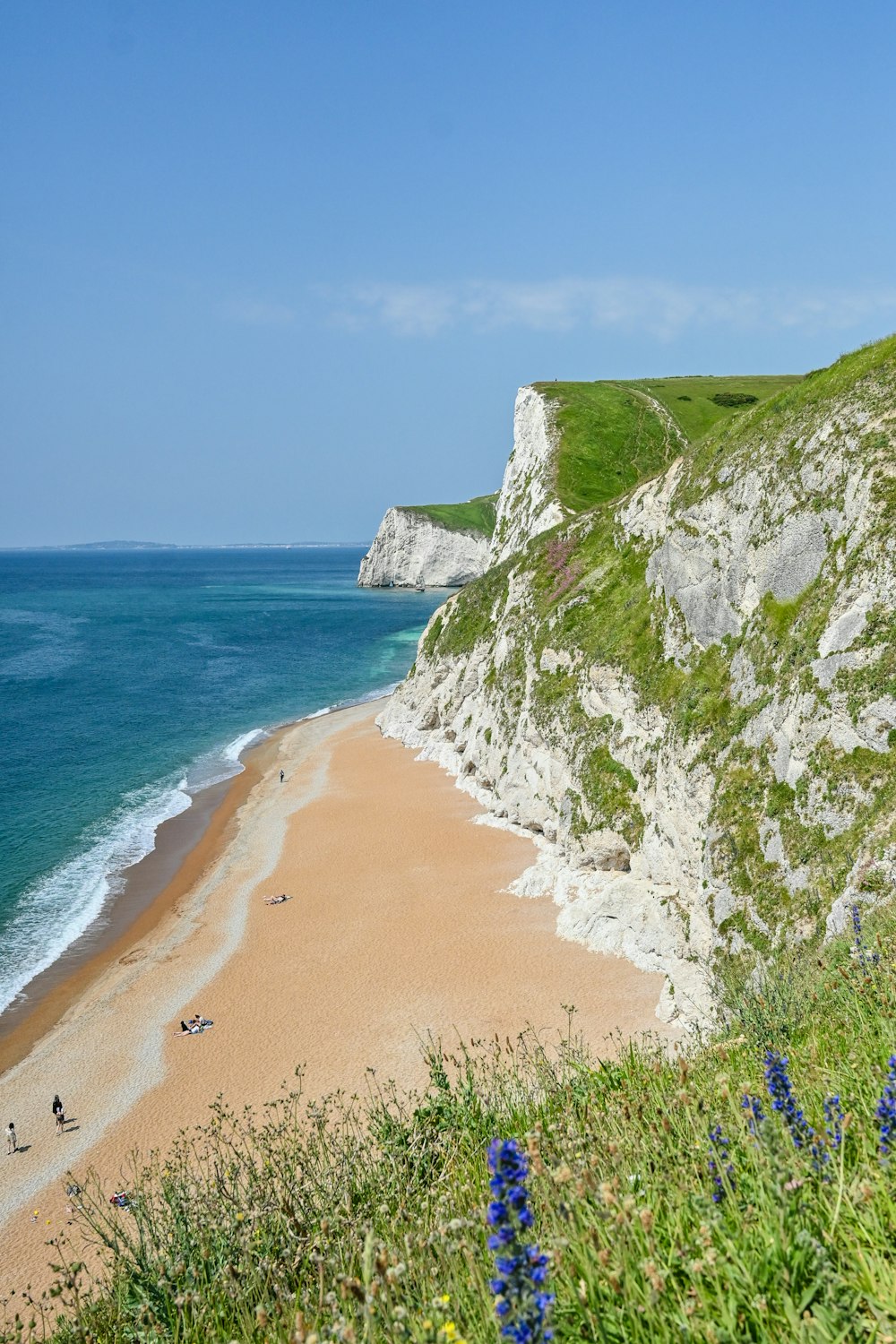 a sandy beach next to the ocean with blue flowers in the foreground