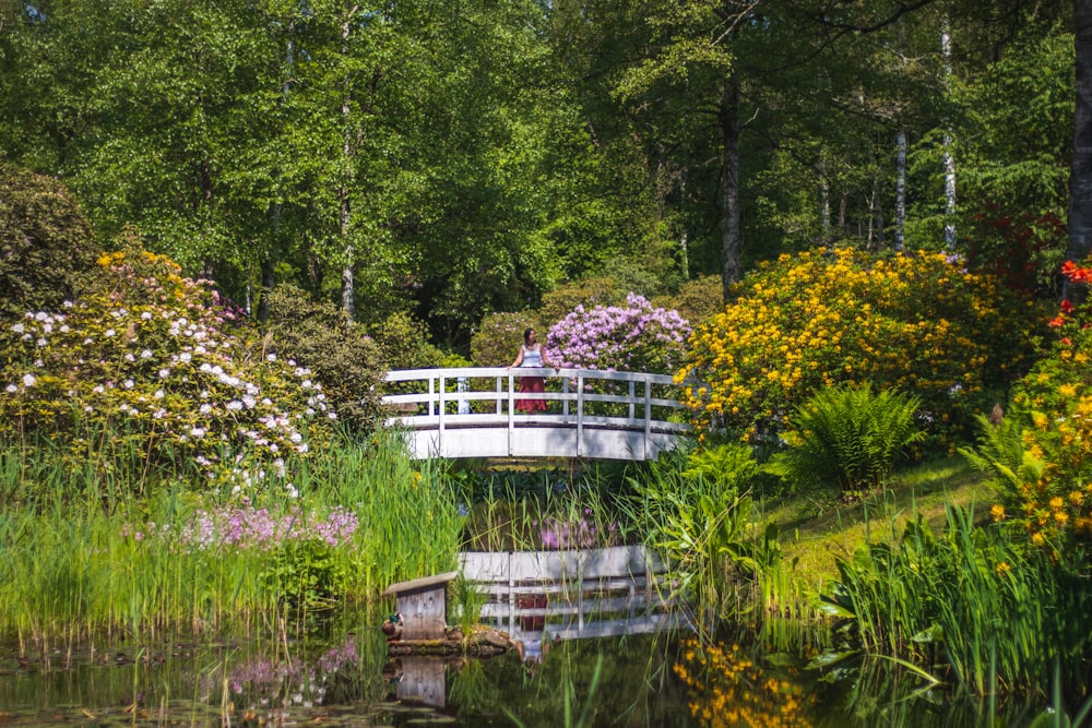 a white bridge over a body of water surrounded by trees